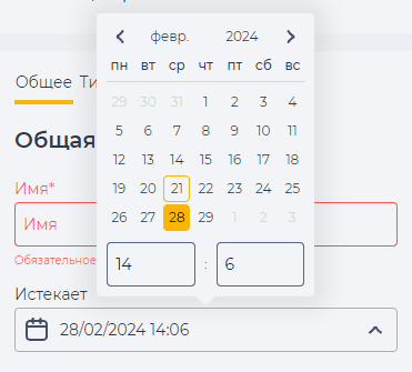 Календарь для поля Истекает.png