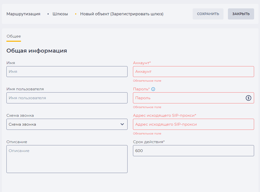 Страница детали Общее при создании SIP-регистрации.png